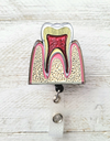 Anatomical Tooth Cross-Section Retractable Badge Reel