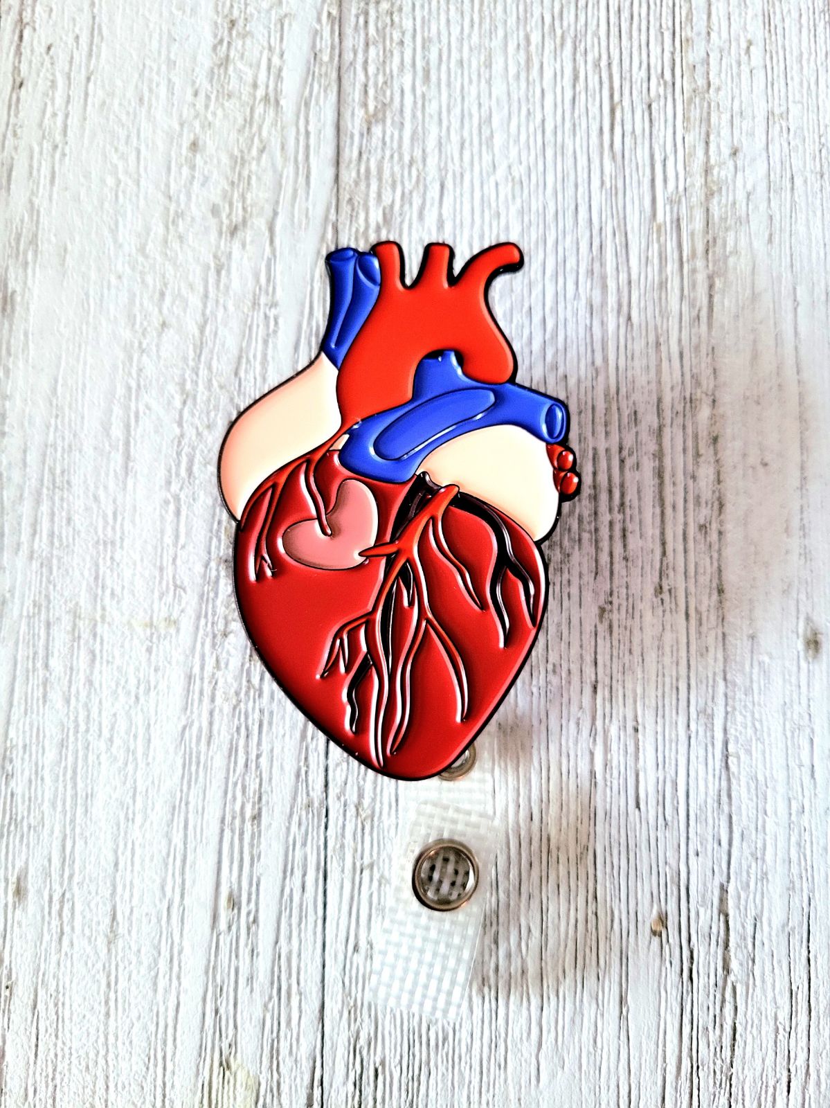 Wholesale Anatomical Heart Retractable ID Badge Reel – Reflections by Zana  B2B